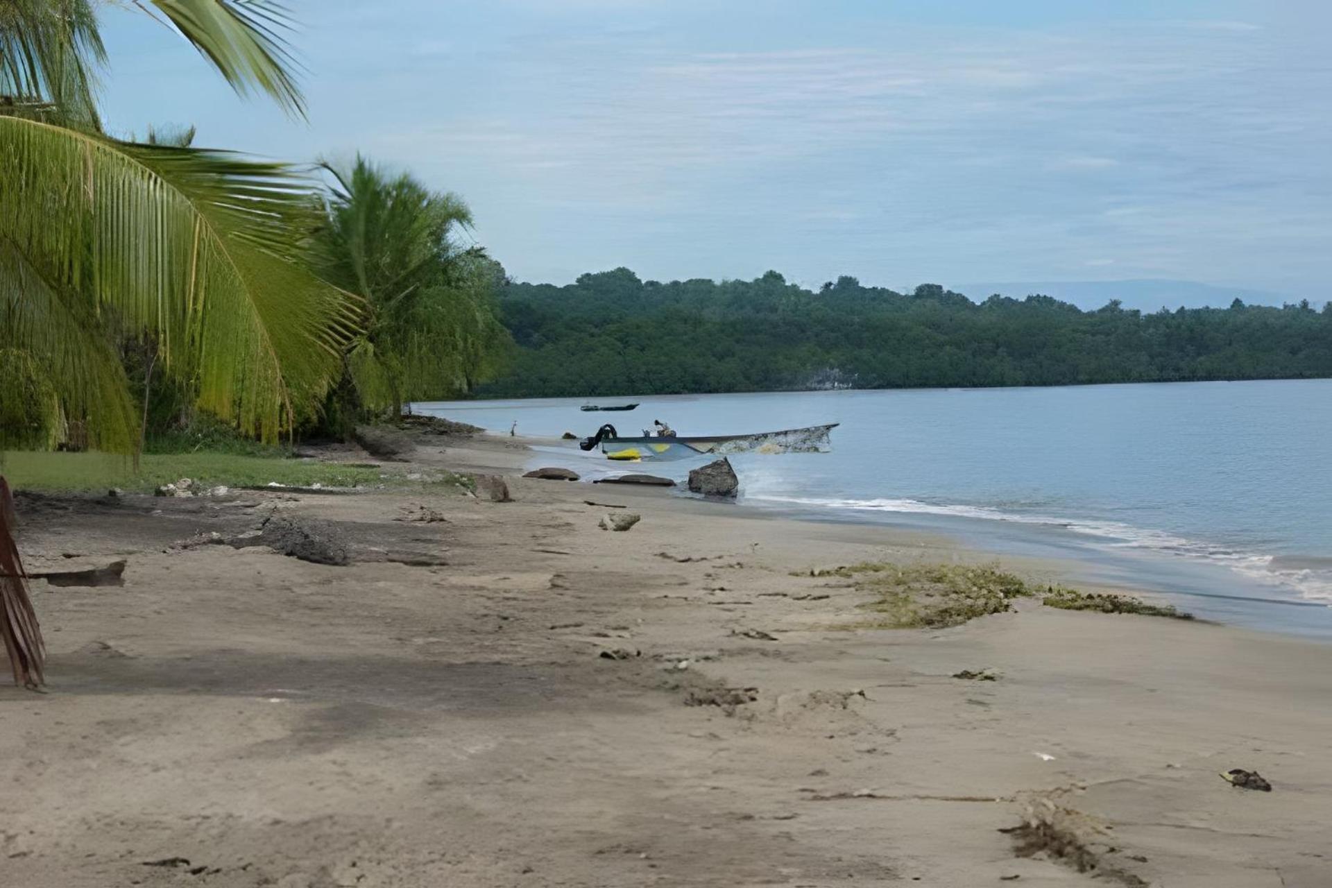 Jungle Dreamz Villa Manzanillo  Eksteriør billede